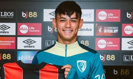 能在激烈的 能在激烈的